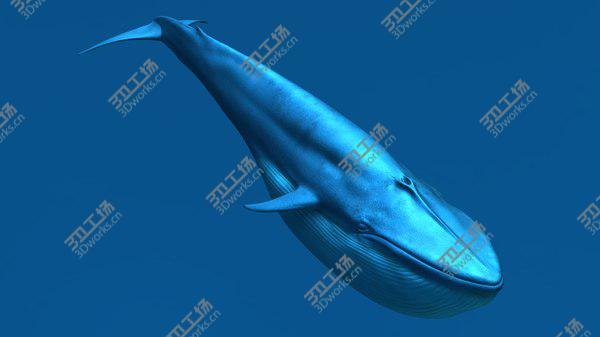 images/goods_img/20210312/3D Blue Whale/1.jpg